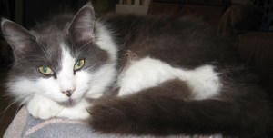 Arthur, in better days