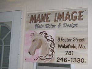 Rodney's Saga Mane Image