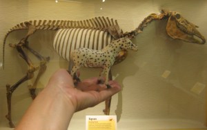 Spotted learning about his ancestors.