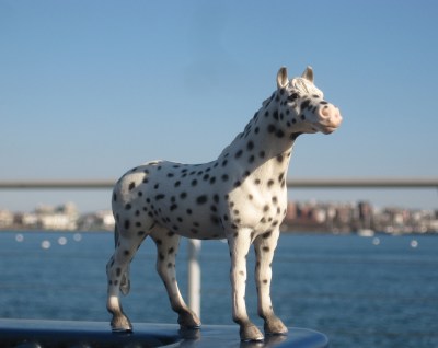 Rodney's Saga look of eagles