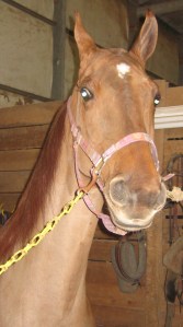 Despite being a  diva, Lola is unsure about having her picture taken.