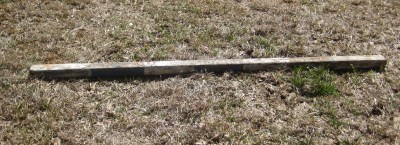 Harmless pole or equine brainteaser?