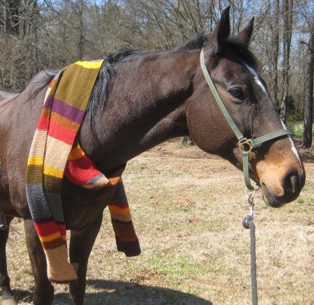 Rodney's Saga Dr Whooves