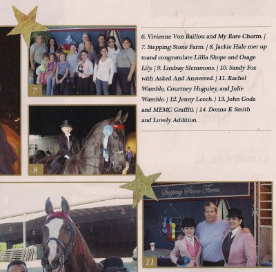 Saddle Horse June 2013 page 46