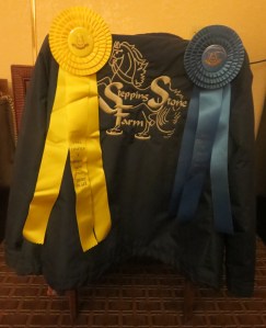 Apres show: third & first with Alvin Ailey in Academy Adult Walk/Trot.