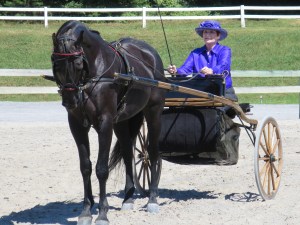 Alvin waiting for a driving class. (I cropped the toe but he had the best expression in this one.) 