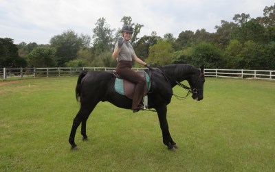 Alvin says: Are we done yet?