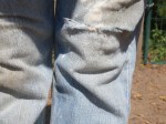 Current barn jeans