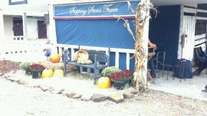 Photo by Melissa Croxton