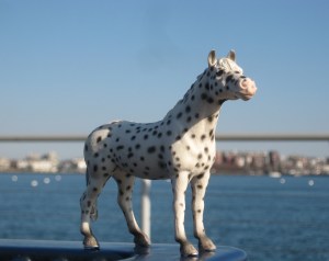 Spotted exercises base