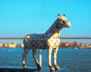 Spotted exercises color2