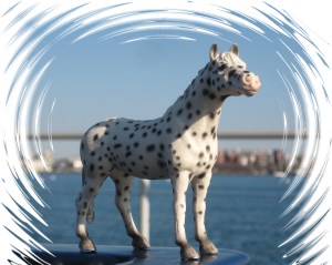 Spotted exercises edges