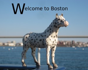 Spotted exercises text