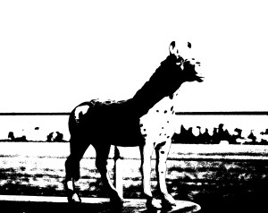 Spotted exercises threshold