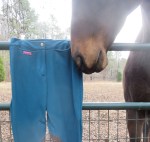 Rodney photobombs the photo shoot.