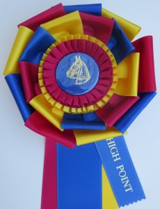 ASHAA 2013 hp ribbon top