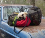 How is this comfortable?