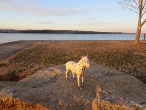 Spotted at lakeside.