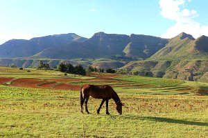 Lesotho 1
