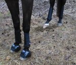 horse boots