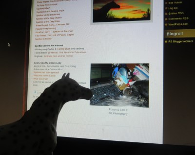 Spotted checking out the latest changes to her page.