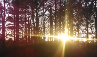 sunset March 13 2014