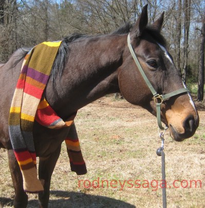 Doctor Whooves watermark