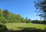 pasture April 25 2014