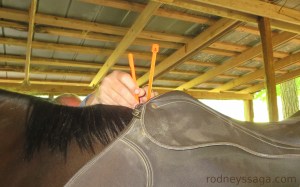 Checking the angles.