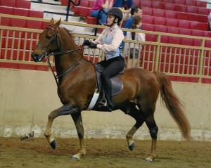 Sandra Hall Photography Use with permission