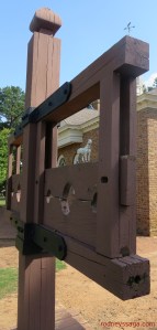 Spotted in the stocks