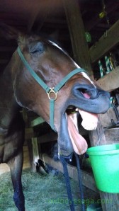 At least Rodney is having a good time.