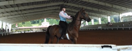 Internal dialogue before canter depart: Saddlebreds use outside rein. Saddlebreds use outside rein. Saddlebreds use ...   Photo by Mom.