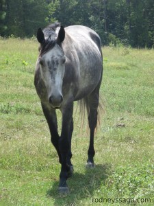 Day One Nice to see you again.