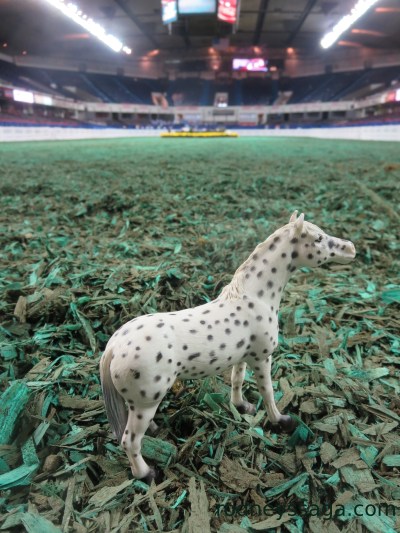 Spotted Freedom Hall