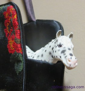 Spotted changing room closeup