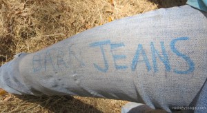 barn jeans wm