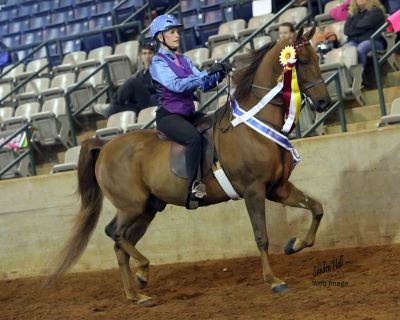 Sultan's Miracle Man