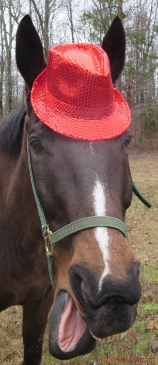 Rodney red hat 12 24 14 750