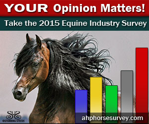 2015-Horse-Survey-Ad-300x250