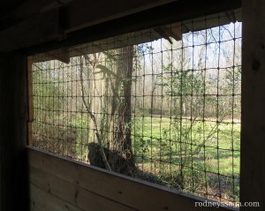 window screen