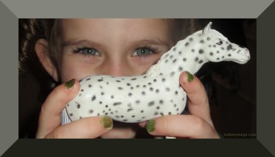 2015 banquet Spotted MacKenzie border