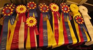 Performance Ribbons Table 1