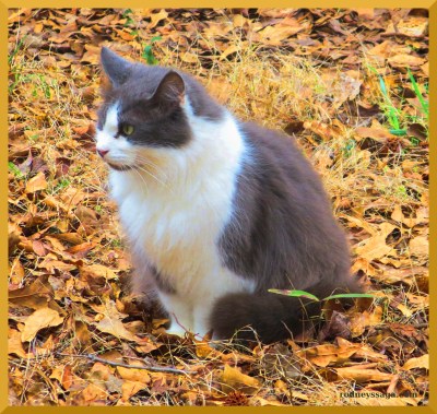 Arthur colorized 2 21 15