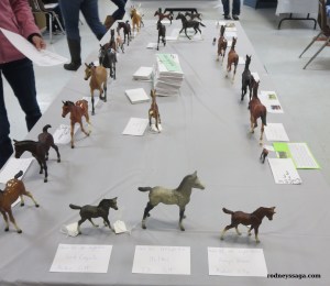 My First Class 101 Light Foals