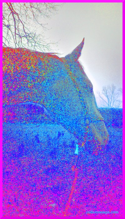 Milton colorized 1 26 15