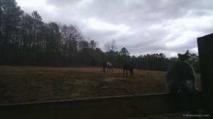 Milton, Rodney, Blue