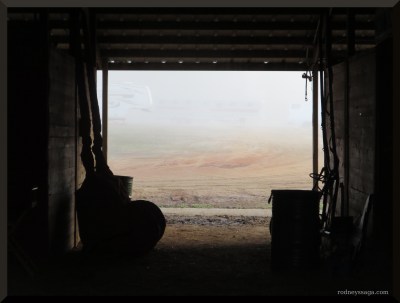 SC show barn scenery