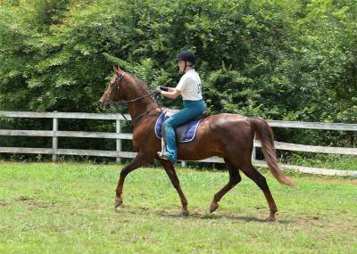 Sam & Katherine Queen Bee Cottage Creations Photography by Shannon Slemmons