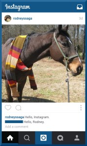 Instagram screenshot